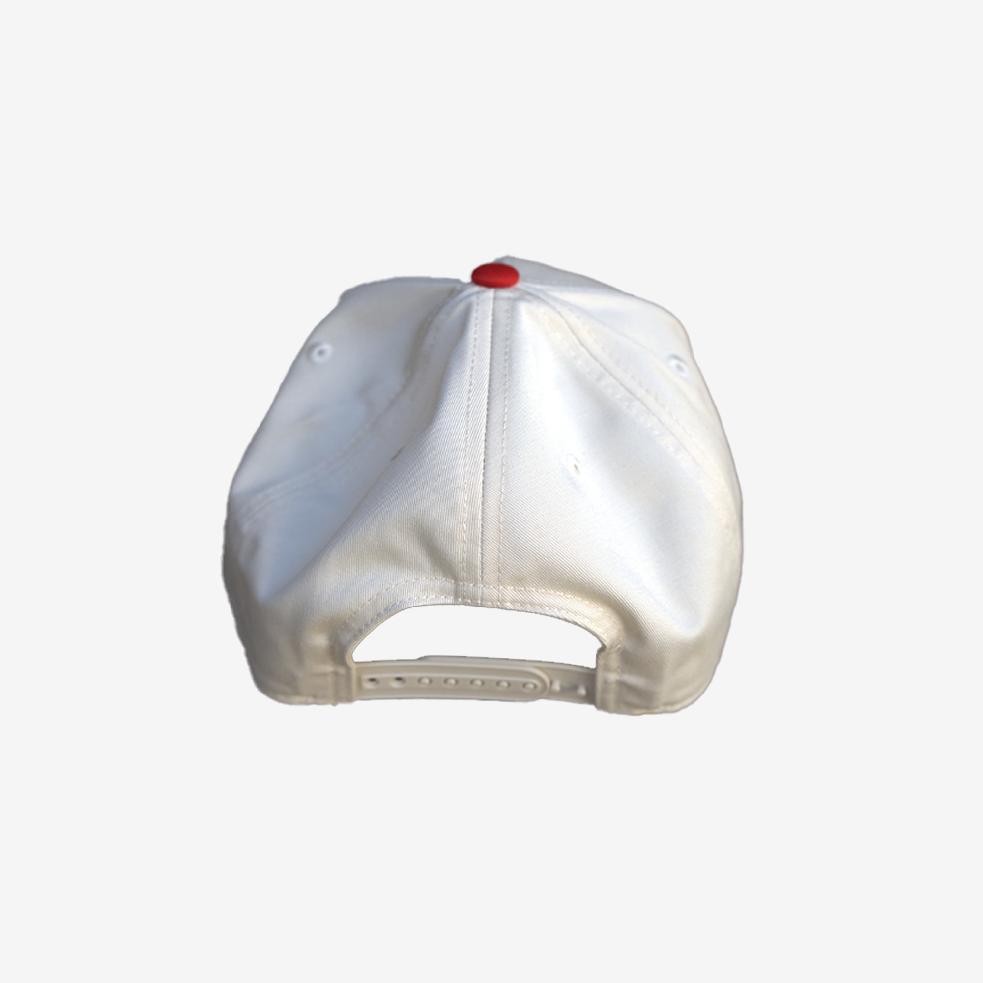 Canadian AF Two-Tone Hat