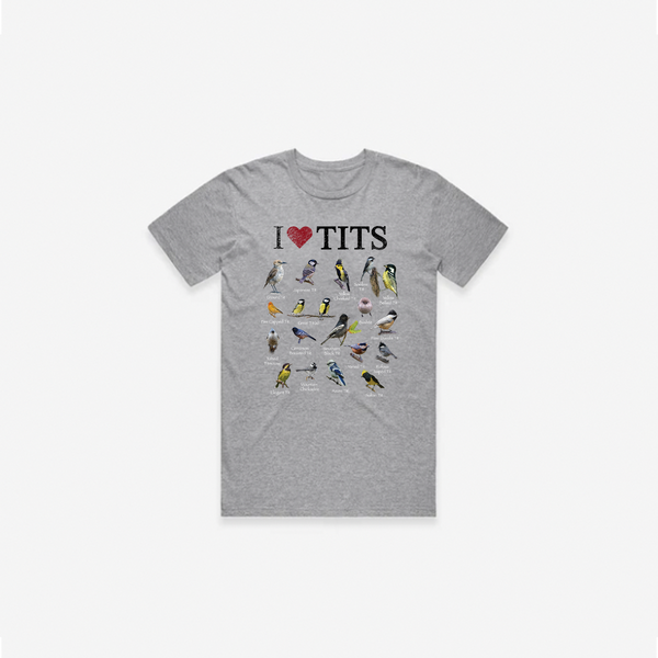 I <3 TITS T-Shirt - Grey