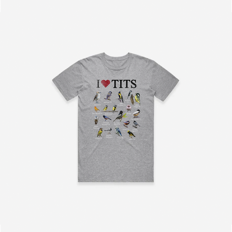 I <3 TITS T-Shirt - Grey