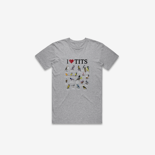 I <3 TITS T-Shirt